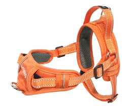 Easy On&Off No-Pull Dog Harness_Orange