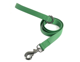PVC Leash_Green