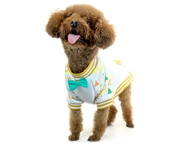 Little Gentlemen Festival Pattern T-shirt