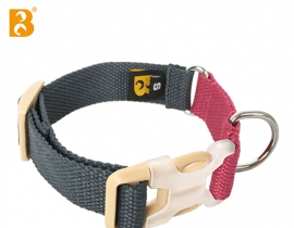 2023 New Design Premium Quality Contrast Color Dog Collar