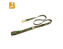 2023 New Design Multicolor Print Aluminum Alloy Pet Leash