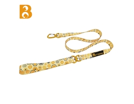 2023 New Design Multicolor Print Aluminum Alloy Pet Leash