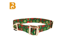 2023 Manufacture Adjustable Customizable Print Aluminium Alloy Dog Collar