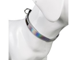 New Design PVC Sliver Hologram Dog Collar Waterproof Outdoor Dog Collar